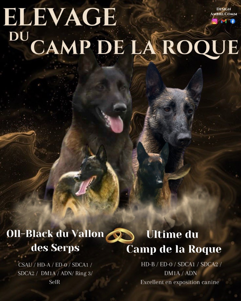 Prochainement 